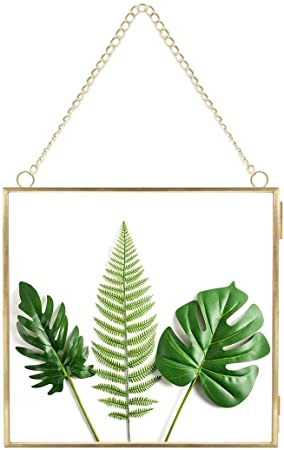 Outgeek Hanging Picture Frame Creative Picture Display Frame for Dried Plant Specimen