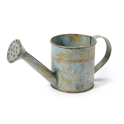 Better Crafts Metal Watering Can
