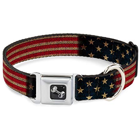 Buckle-Down Seatbelt Buckle Dog Collar - Vintage US Flag Stretch