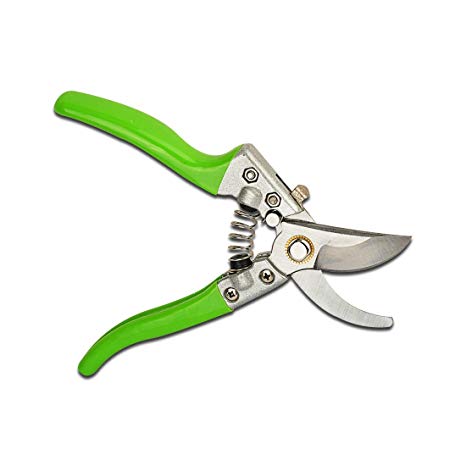 THANOS Professional SK-5 Hand Pruners, Garden Shears,Pruning Shears with Spring and Safety Buckle, Garden Clippers for Garden Harvesting Fruits & Vegetables, Trimming Plants Flowers (Light Green)