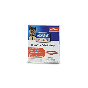 Adams Plus Flea and Tick Collar