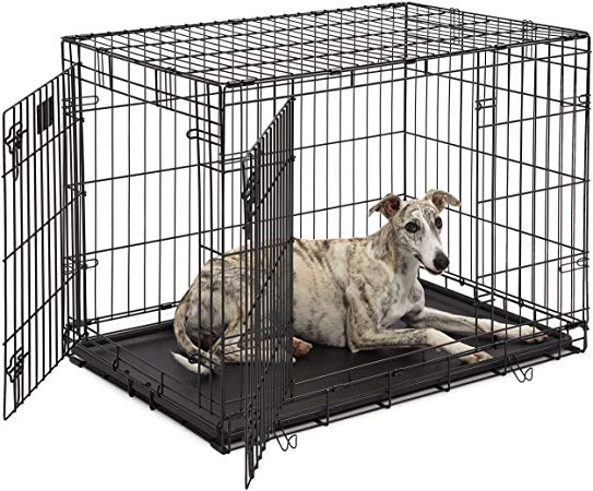 Dog Crate | Midwest Life Stages 36" Double Door Folding Metal Dog Crate | Divider Panel, Floor Protecting Feet, Leak-Proof Dog Tray | 36L x 24W x 27H Inches, Intermediate Dog Breed