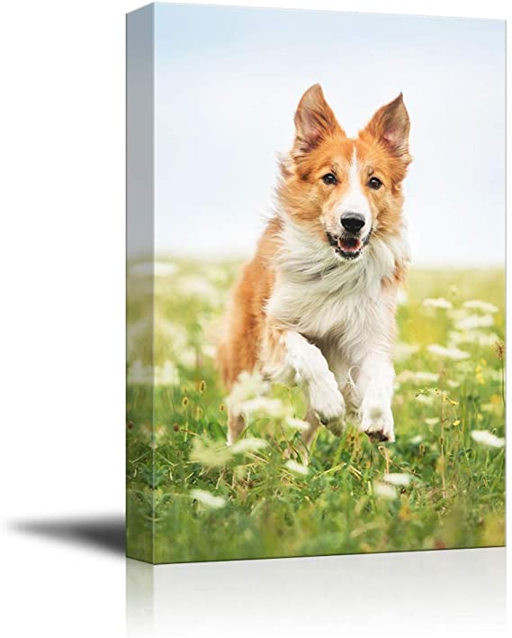 SIGNFORD 18"x12" Custom Canvas Prints, Pets Personalized Poster Wall Art with Your Photos Wood Frame Digitally Printed