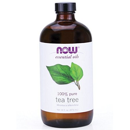 Now Foods Tea Tree Oil, 16 Ounce