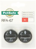 PetSafe 6-Volt Lithium Battery Pack of 6