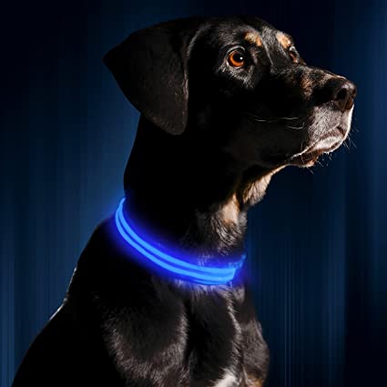 Illumiseen LED Dog Collar - USB Rechargeable - Available in 6 Colors & 6 Sizes - Makes Your Dog Visible, Safe & Seen
