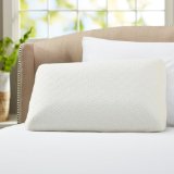 Pinzon Classic Memory Foam Pillow