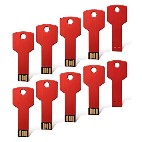 RAOYI 10PCS 8GB USB Flash Drive Metal Key Design USB Flash Drive Metal Key Shaped Memory Stick USB 2.0 Red 8G