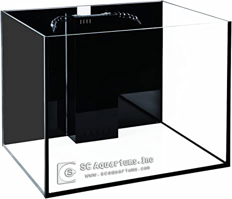 SCA 66 Gallon Starfire Rimless Aquariums 32x24x20 10mm with Built-in Overflow
