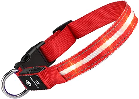 MASBRILL Light Up Dog Collar with USB Rechargeable and Waterproof, LED Flashing Dog Collar with 10 Hours Working Time for Small Medium Large Dogs(Red, M)