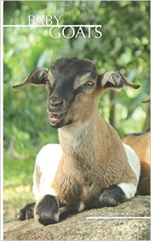 Baby Goats Weekly Planner 2016: 16 Month Calendar