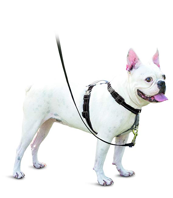 PetSafe 3in1 Harness, from the Makers of the Easy Walk Harness