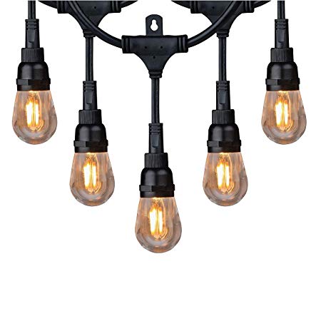 Honeywell 36' Vintage Style LED String Light Set Amber Indoor/Outdoor