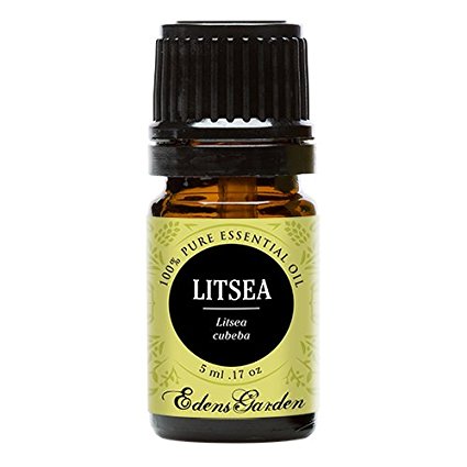 Litsea 100% Pure Therapeutic Grade Essential Oil by Edens Garden- 5 ml