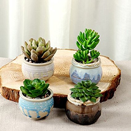 Supla 4 Pcs 2.7 Inch Ceramic succulent Planter Cactus Plant Pot