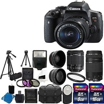 Canon EOS Rebel T6i 24.2MP Digital SLR Camera Bundle with Canon EF-S 18-55mm f/3.5-5.6 IS STM [Image Stabilizer] Zoom Lens & EF 75-300mm f/4-5.6 III Telephoto Zoom Lens and Accessories (18 Items)