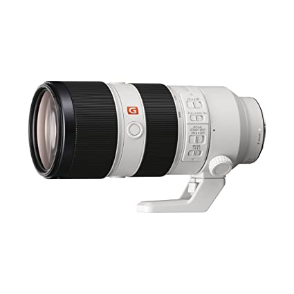 Sony SEL70200GM E Mount FE 70-200 mm F2.8 GM OSS Lens (White)