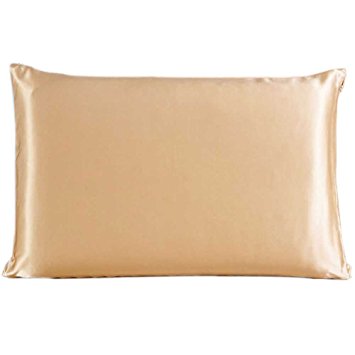 Savena Both Sides 22 Momme Mulberry Silk Pillowcase Benefit to Sleeping Soft Hypoallergenic Avoid Hair Falling Noble Design with Hidden Zipper 100% Natural Silk(Queen(20"x30")Champagne)