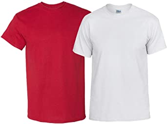 Gildan Men's DryBlend T-Shirt, Style G8000, 2-Pack