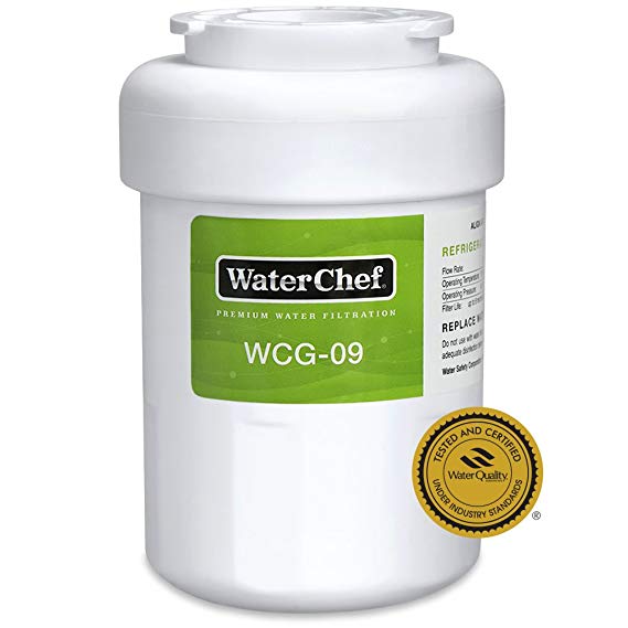 WaterChef WCG-09 Premium Refrigerator Water Filter Replacement for GE MWF, GWF, MWFA, GWFA, GW06, Hotpoint HWF, HWFA