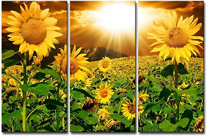 Sunflower Wall Art Canvas Print for Home Decor 3 Pieces Panel Paintings Modern Artwork for Living Room Decoration Flower Pictures Photo Prints On Canvas