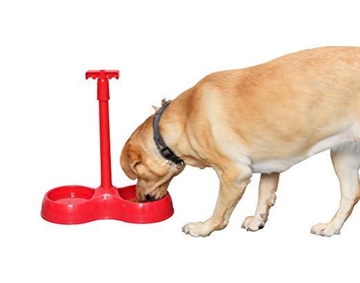 ARAD No More Bending Dual Pet Bowl – Perfect Food Station for Those with Limited Mobility - No More Bending or Kneeling When it’s Time to Feed Your Beloved Furry Best Friend (Red) by