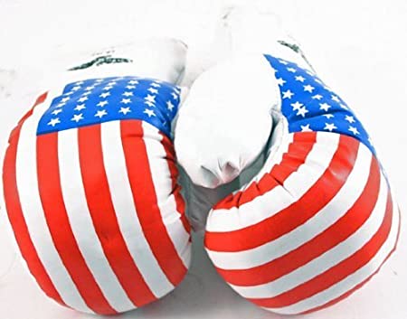 Shelter New 1 Pair of Youth USA 8oz Boxing Gloves For Kids