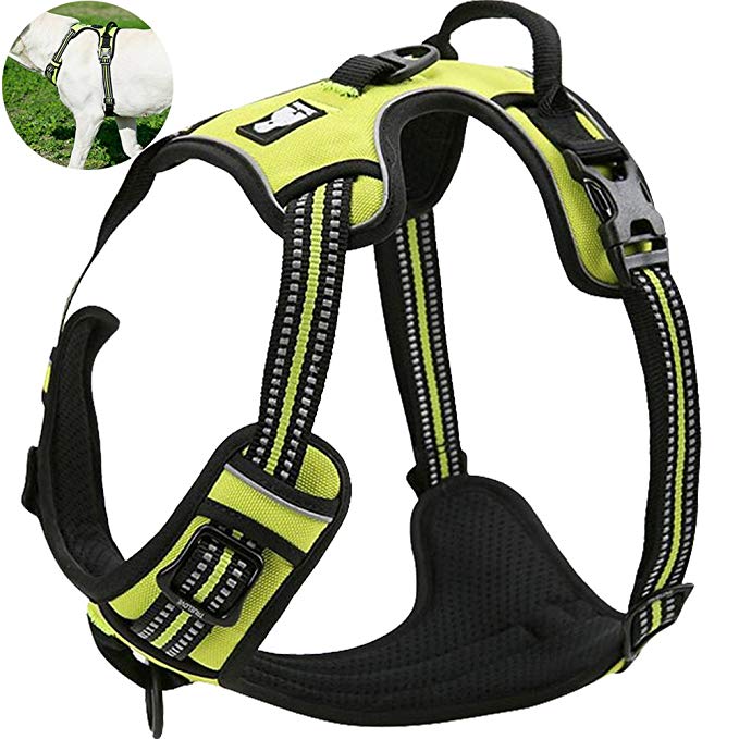 OLizee™ New Front Range No Pull Dog Harness Outdoor Adventure 3M Reflective Pet Vest with Handle Adjustable Protective Nylon Walking Pet Harness Variety of Sizes and Colors,Green M