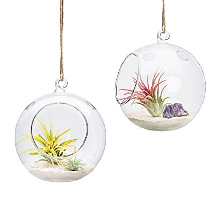 Mkono 2 Pack Glass Hanging Planter Succulent Air Plant Terrarium, 6" Globe Candle Holder