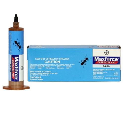 Maxforce Carpenter Ant Bait 0.95 oz-1 box BA1072