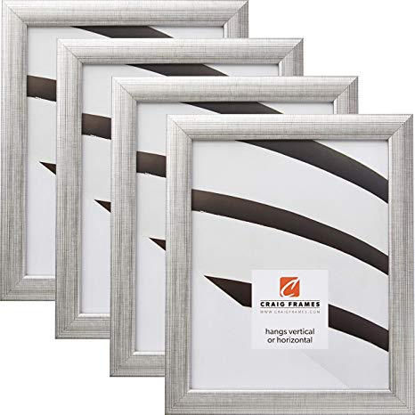 Craig Frames 23247944 12 x 18 Inch Picture Frame, Scratched Silver, Set of 4