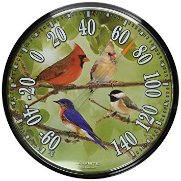AcuRite 01781 12.5-Inch Wall Thermometer, Songbirds