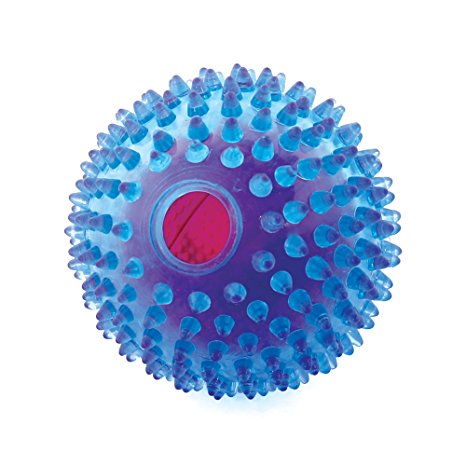 Squeak Dog Toy By FURRY FIDO, Spiny Dog Ball for Dog Chewing and Teething Cleaning, Made by Nontoxic Rubber