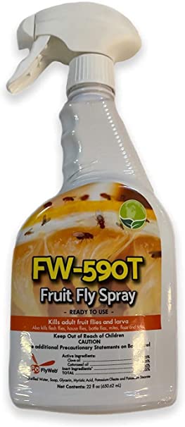 Gardner Flyweb Fruit Fly Spray | All-Natural Spray for Flies, Bugs, Fleas, Ticks and Wasps - Does Not Leave a Residue, is Stain Free, Family and Pet Friendly and Safe to Use (22oz)