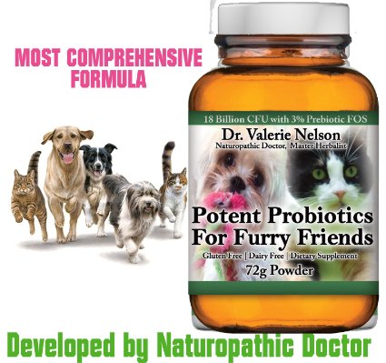 Potent Pet Probiotics for Dogs, Cats - 18 Billion CFU with FOS - 240 Servings~ Dr. Developed