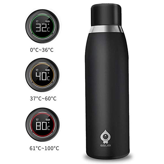 RYRUS Smart Water Bottle Cup Drinking Container Instant Temperature Display & Warning with LCD Touch Screen Ideal for Running Office Home Gym Yoga Camping Outdoors