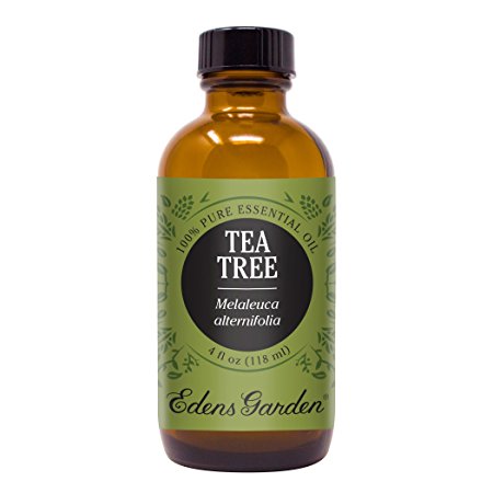 Tea Tree (Melaleuca) 100% Pure Therapeutic Grade Essential Oil by Edens Garden 4 oz (120 ml)