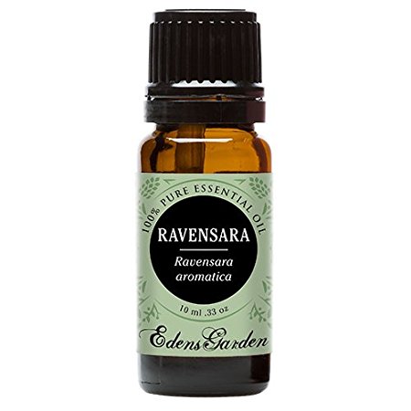 Ravensara 100% Pure Therapeutic Grade Essential Oil by Edens Garden- 10 ml