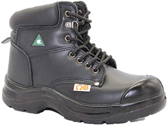 Dolphin D4 CSA Approved Safety Shoes, Construction Boots, Work Shoes