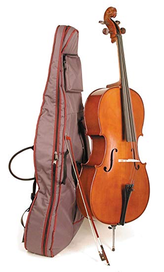 Stentor 1108 Cello, 4/4 Size