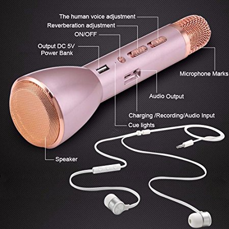 Karaoke Machine Microphone Player Bluetooth