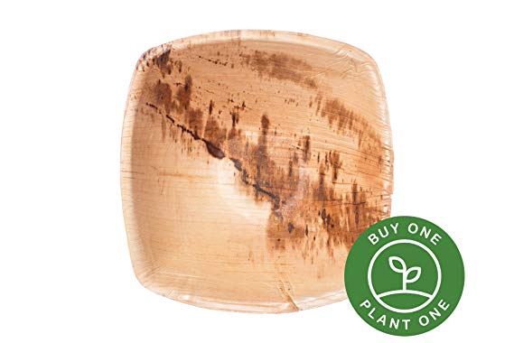 6" Square Palm Leaf Bowls - Pack of 25 - Disposable, Compostable, Natural, Tree Free, Sustainable, Eco-Friendly - Fancy Rustic Party Dinnerware and Utensils Like Wood, Bamboo