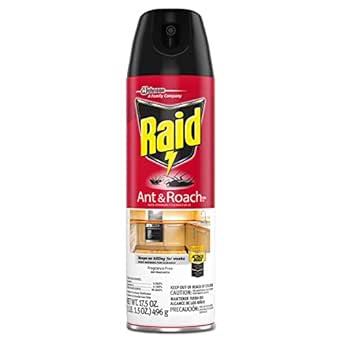 Fragrance Free Ant & Roach Killer, 17.5 oz Aerosol Can, 12/Carton [ESS]