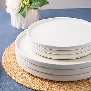 AmorArc Ceramic Dinner Salad Plates Set of 6, 8.0 Inch Reactive Matte Glaze Dish Set, Dessert,Salad, Appetizer, Small Dinner Plate,Microwave, Dishwasher Safe, Scratch Resistant-Matte White