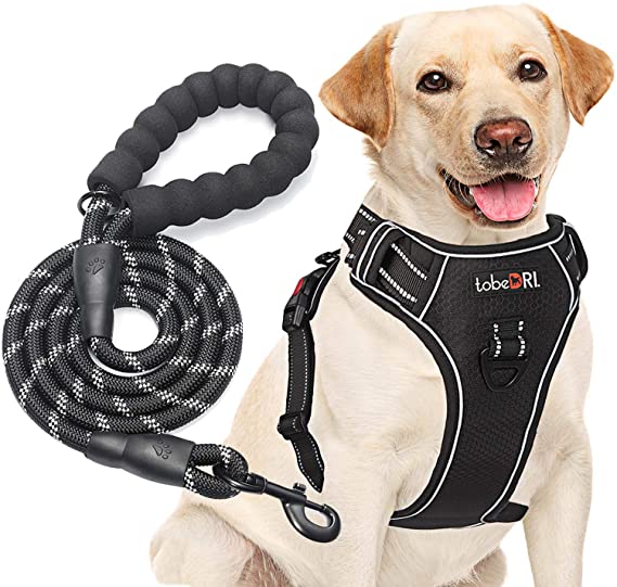 tobeDRI No Pull Dog Harness Adjustable Reflective Oxford Easy Control Medium Large Dog Harness with A Free Heavy Duty 5ft Dog Leash