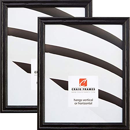 Craig Frames 200ASHBK 24 x 36 Inch Picture Frame, Black, Set of 2