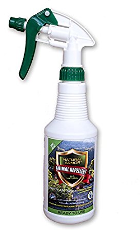 Repellent Spray for Rodents & Animals. Cats, Rats, Squirrels, Mouse & Deer. Repeller & Deterrent for Dogs, Critters, Mice, Raccoon & Skunk. Natural Armor Mint Pint Ready To Use