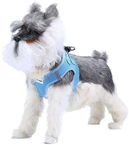Pettom Step-in Dog Harness Cat Air Vest Escape Proof Breathable Soft Harness Reflective Strap Metal Clip Kitten Puppy Rabbit