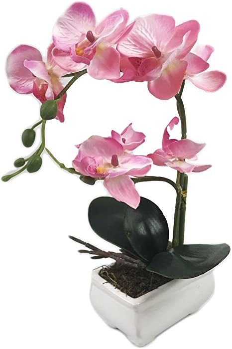 PEPPERLONELY Brand 13" H Artificial Ceramic Potted Plant Orchid, Pink