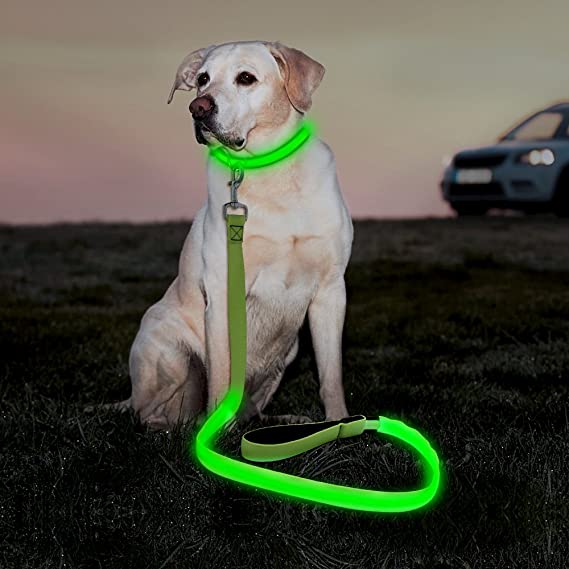 Illumifun LED Dog Leash, USB Rechargeable Glow in The Dark Pet Leash, 47.2inch Nylon Light Up Dog Lead for Your Dog Walking at Night (Green)